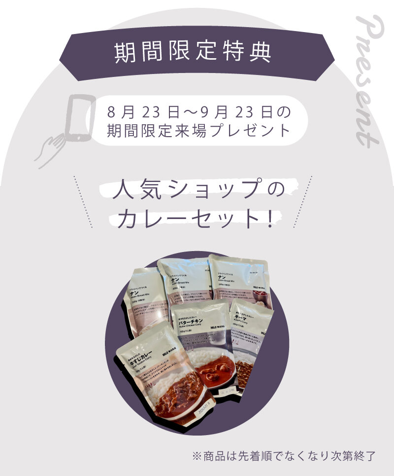 nchmodel_lp_present2.jpg